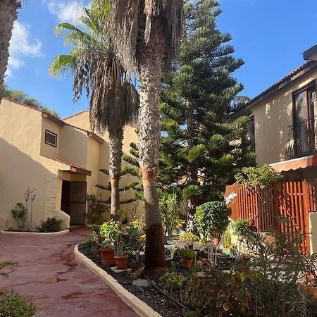 Casa Cactus Paraiso Parque Holandes Zewnętrze zdjęcie