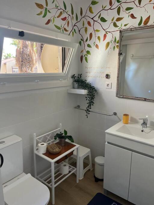 Casa Cactus Paraiso Parque Holandes Zewnętrze zdjęcie