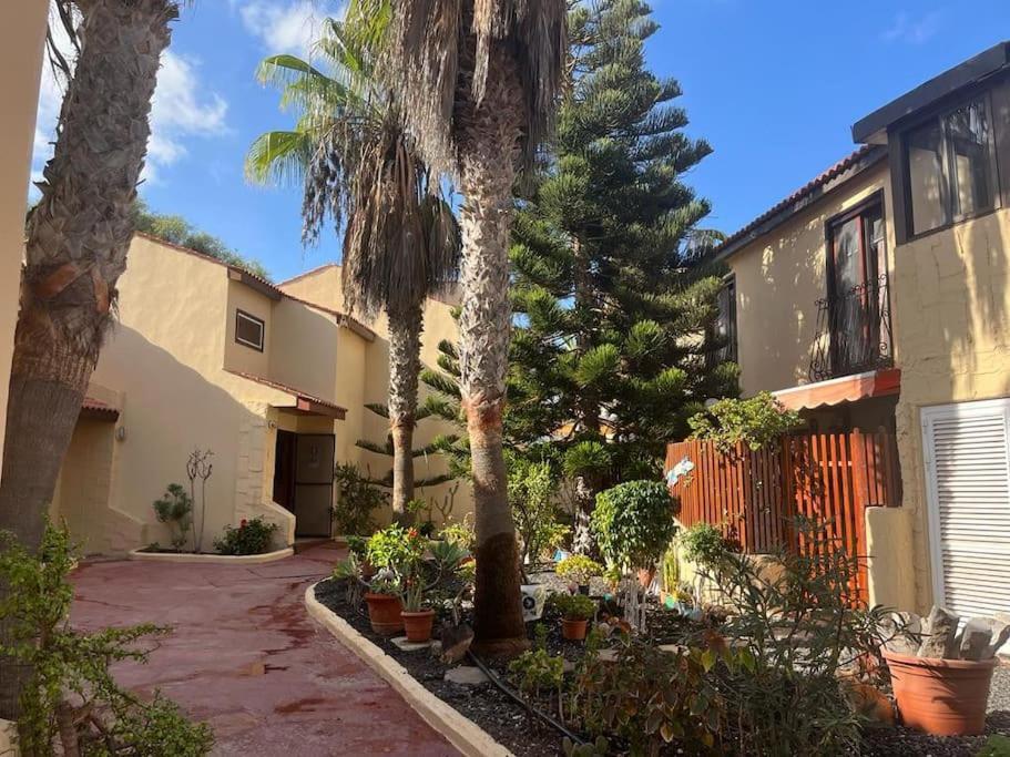 Casa Cactus Paraiso Parque Holandes Zewnętrze zdjęcie
