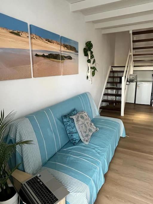 Casa Cactus Paraiso Parque Holandes Zewnętrze zdjęcie