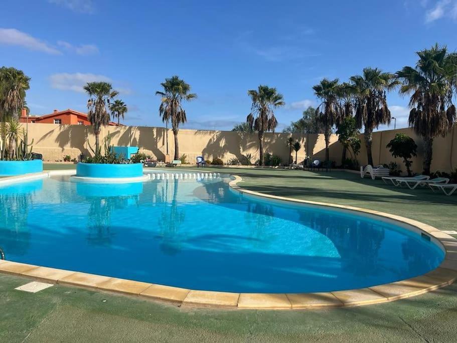 Casa Cactus Paraiso Parque Holandes Zewnętrze zdjęcie