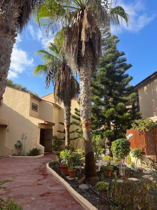 Casa Cactus Paraiso Parque Holandes Zewnętrze zdjęcie