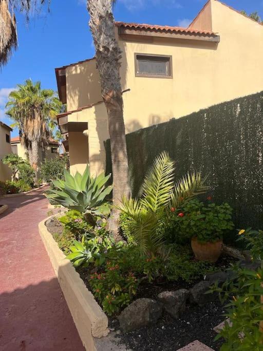 Casa Cactus Paraiso Parque Holandes Zewnętrze zdjęcie