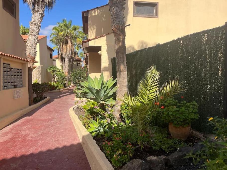 Casa Cactus Paraiso Parque Holandes Zewnętrze zdjęcie