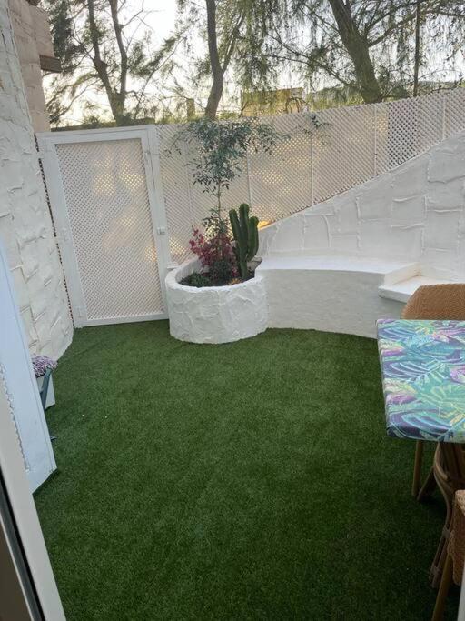 Casa Cactus Paraiso Parque Holandes Zewnętrze zdjęcie