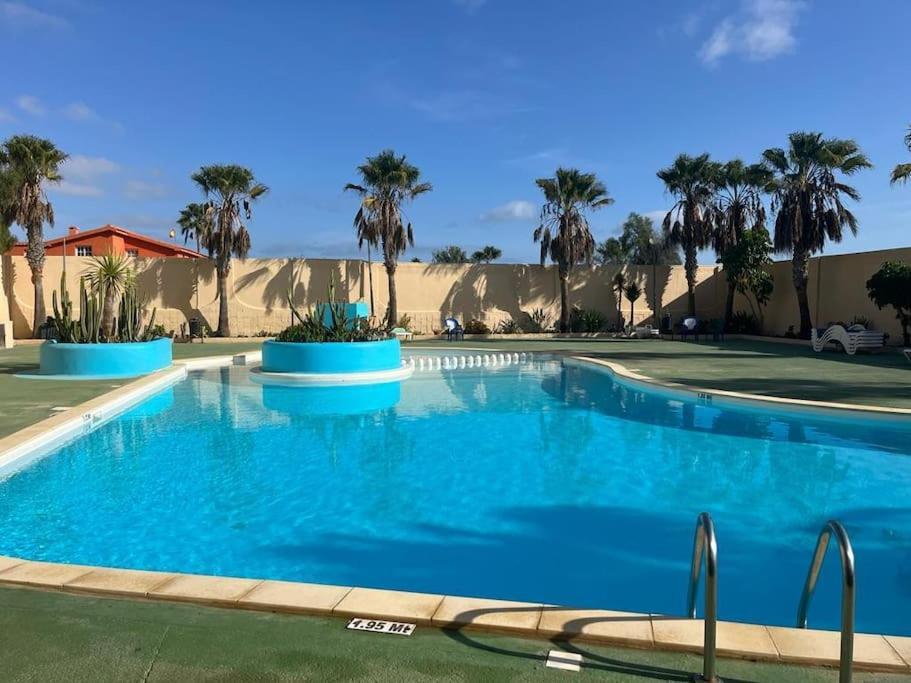 Casa Cactus Paraiso Parque Holandes Zewnętrze zdjęcie